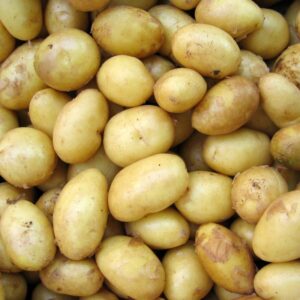 Allergitest Potatis